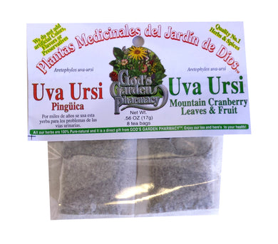 Uva Ursi - Mountain Cranberry leaves and fruit - Pinguica